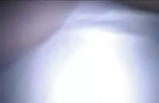 XXX ఇష్టమైన మిఠాయి