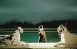 XXX సెక్స్ కోసం కాళ్లు ప్రేరేపించడమ్